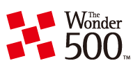 The Wonder 500 TM